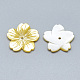 Perles de coquillage jaune SSHEL-S260-065-2
