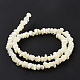 Chapelets de perles en coquillage naturel SSHEL-S278-132-4
