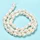 Natural Cultured Freshwater Pearl Beads Strands PEAR-E016-072-3