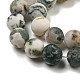 Natural Tree Agate Frosted Agate Round Gemstone Beads Strands G-O151-01-8mm-3