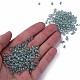 Perline di semi di vetro ceche trasparenti SEED-N004-005-C05-5