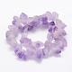 Natural Amethyst Beads Strands G-P322-09-2