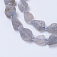 Natural Labradorite Beads Strands G-F568-297-3