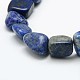 Natural Lapis Lazuli Nuggets Beads Strands G-L154-18-2