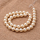 Polished Round Grade A Shell Pearl Bead Strands BSHE-M027-12mm-24-2