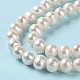 Natural Cultured Freshwater Pearl Beads Strands PEAR-E018-15-4