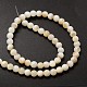 Natural Freshwater Shell Round Bead Strands X-SHEL-M013-01-2