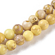 Natural Imperial Jasper Beads Strands X-G-I248-03B-1
