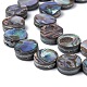 Natural Abalone Shell/Paua Shell Beads Strands X-SSHEL-G003-5-8x3mm-3