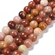 Chapelets de perles en bois pétrifié naturel G-E571-15C-1