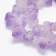 Natural Amethyst Beads Strands G-P322-09-3