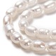 Brins de perles de culture d'eau douce naturelles PEAR-L033-62-01-2