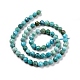 Chapelets de perles en turquoise de HuBei naturelle G-C009-A15-3