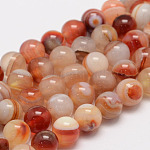 Perles de sardoine naturel brins, ronde, Grade a, 8mm, Trou: 1mm, Environ 47~48 pcs/chapelet, 14.5 pouce