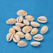 Подвески из натуральной каури BSHE-Q297-3