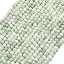 Hilos de cuentas de jade jadeíta natural&nbsp;G-A260-A36-01