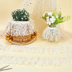 Nastro di pizzo in poliestere con frange&nbsp;DIY-WH20062-40A