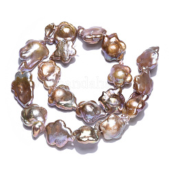 Barocke&nbsp;PEAR-S020-A02