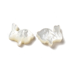 Shell perle bianche naturali&nbsp;BSHE-E026-08