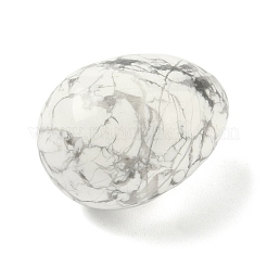 Décorations d'affichage en forme d'œuf en howlite naturelle&nbsp;G-Z094-01F