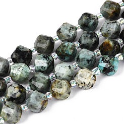 Natürliche afrikanische türkis (jasper) perlen stränge&nbsp;G-T144-24A-07