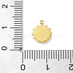 Anhänger aus 304 Edelstahl&nbsp;STAS-S163-08A-G