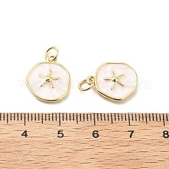 Breloques d'émail en laiton&nbsp;KK-L237-022G-01