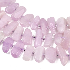 Naturperlen Stränge kunzite&nbsp;G-L657-E05-01