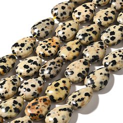 Dalmata naturale perline di diaspro fili&nbsp;G-I377-A15