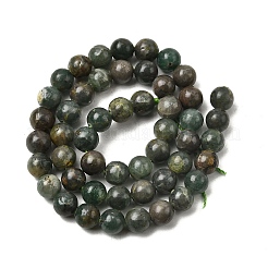 Verde naturale perline di apatite fili&nbsp;G-K350-C04-8mm