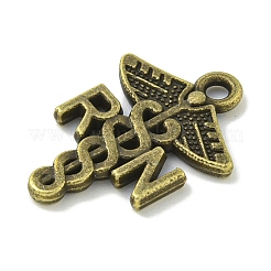 Tibetischer stil Aluminium Anhänger & Charms&nbsp;TIBE-I026-5976AB