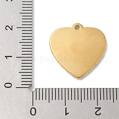 Pendentifs en acier inoxydable 304 avec placage ionique (IP)&nbsp;STAS-Q334-23G