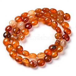 Fili di perline agata rosso naturale&nbsp;G-T047-A02-01