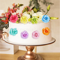 36 Stück 12 Farben Seidenrose&nbsp;AJEW-GF0007-01