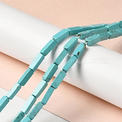Fili di perline howlite naturale&nbsp;G-C025-11