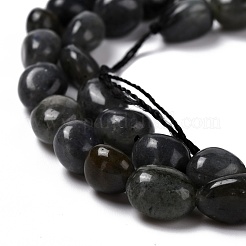 Fili di perline di larvikite naturale&nbsp;G-F706-09B