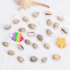 Liens coquille cauris&nbsp;SSHEL-PH0002-45