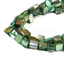 Tinti d'acqua dolce naturale perline shell fili&nbsp;SHEL-P016-01I