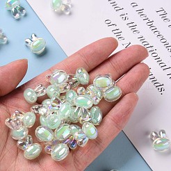 Perles en acrylique transparente&nbsp;TACR-S152-05B-SS2111