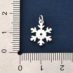 925 Sterling Silber Anhänger&nbsp;LS-FIND-Z069-04S-B