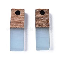 Pendentifs en résine & en bois&nbsp;X-RESI-S358-19E
