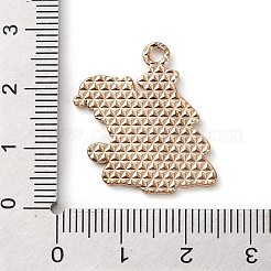 Pendentifs d'émail en alliage&nbsp;ENAM-B030-02G-02