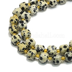 Dalmata naturale perline di diaspro fili&nbsp;G-I376-D85-01