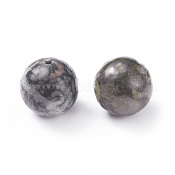 Natürliche fossile Perlen&nbsp;G-G782-04