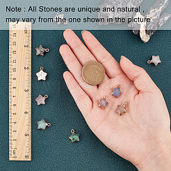 10 pièce 10 couleurs naturelles aventurine verte & jade blanc & agate grise & labradorite & quartz fraise & howlite & rubis en zoisite & cristal de quartz & quartz rose & pendentifs en pierre précieuse labradorite noire&nbsp;G-SC0002-02
