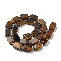 Chapelets de perles d'œil de tigre naturel&nbsp;G-Z043-A01-01