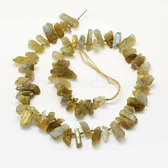 Perline labradorite naturale fili&nbsp;G-K202-11A