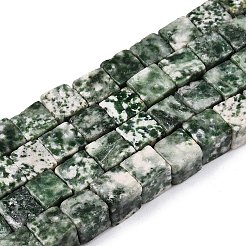 Natürliche grüne Fleck Jaspis Perlen Stränge&nbsp;G-T139-8x8-23A
