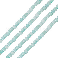 1 filo di perline tinte con conchiglie d'acqua dolce naturali&nbsp;SHEL-TA0001-44A