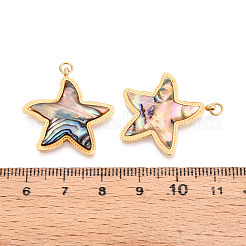 Anhänger aus natürlichem Paua-Muschel-Pave aus Edelstahl 304&nbsp;STAS-N115-22B-G